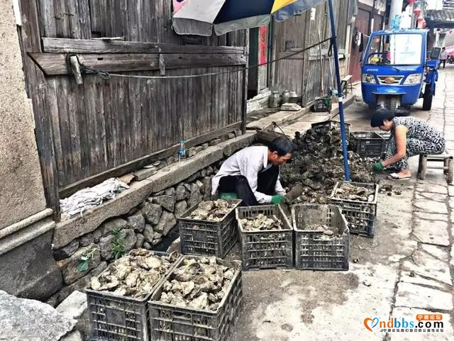 周末周边游 | 出海捕鱼+星空露营+绝美海景，周末去这个海滩度假刷爆朋友圈-43.jpg