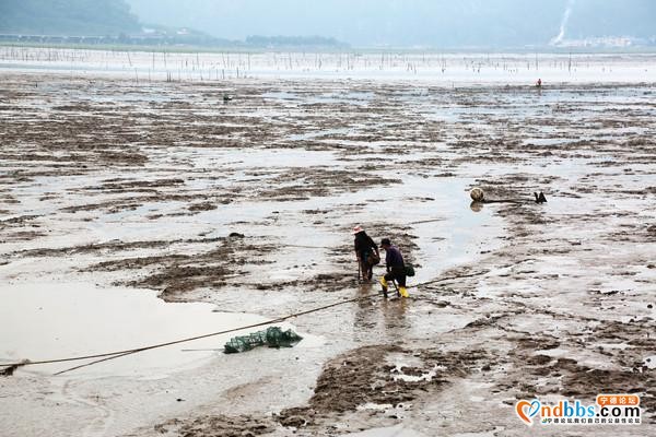 魂牵梦绕 山海宁德 闽东最古老的县，有国内最大的滩涂和日出-8.jpg