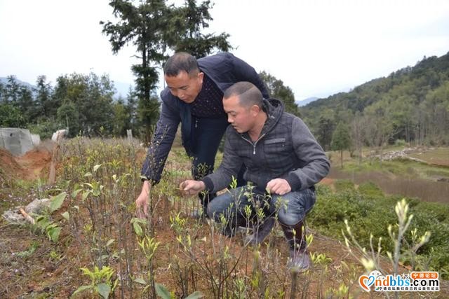 尚书故里不容错过，快加入你的旅游计划～（二）-5.jpg