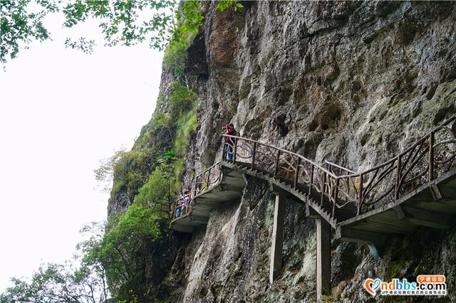 福建最幽静景区，每年千只鸳鸯来过冬，看猕猴要乘坐120米电梯-5.jpg