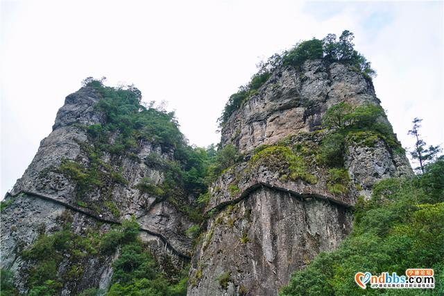 福建最幽静景区，每年千只鸳鸯来过冬，看猕猴要乘坐120米电梯-11.jpg