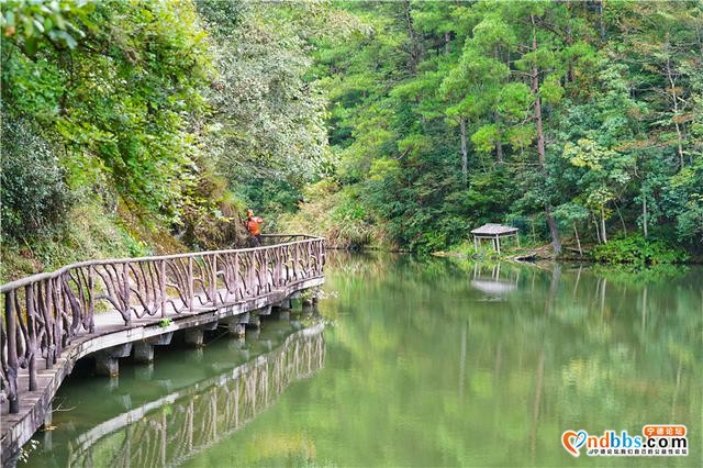 福建最幽静景区，每年千只鸳鸯来过冬，看猕猴要乘坐120米电梯-20.jpg