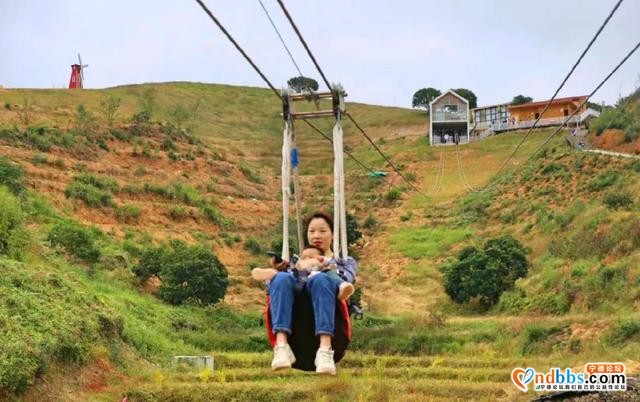 就在宁德！2000亩休闲农场，彩虹滑草场、山地卡丁车、高空滑索 吃喝玩乐一条龙！（二）-2.jpg