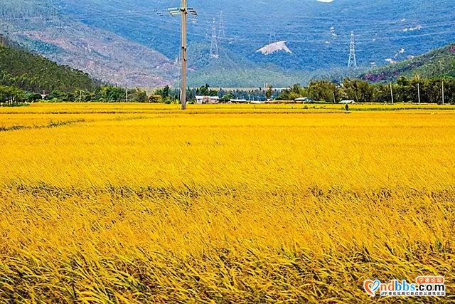 就在宁德！2000亩休闲农场，彩虹滑草场、山地卡丁车、高空滑索 吃喝玩乐一条龙！（一）-7.jpg