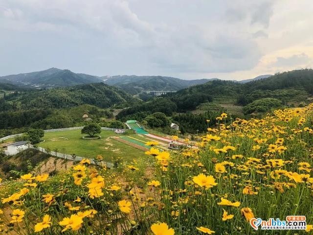 就在宁德！2000亩休闲农场，彩虹滑草场、山地卡丁车、高空滑索 吃喝玩乐一条龙！（一）-6.jpg