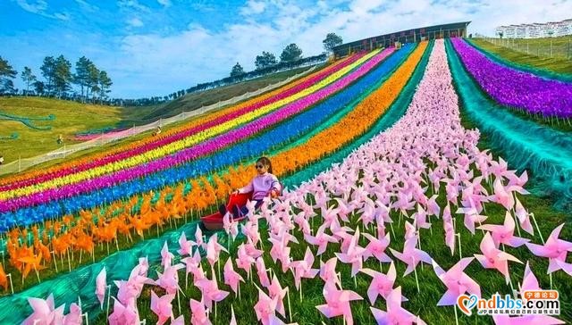 就在宁德！2000亩休闲农场，彩虹滑草场、山地卡丁车、高空滑索 吃喝玩乐一条龙！（一）-9.jpg