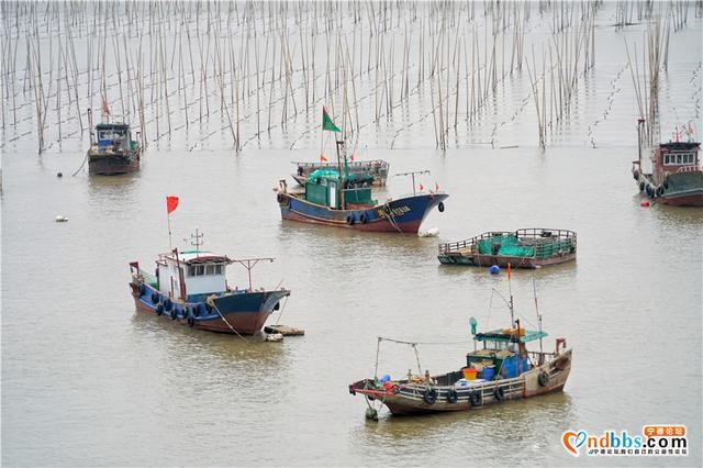 福建这个小县城，拥有中国最美海岸线，秋天是摄影爱好者的天堂-3.jpg