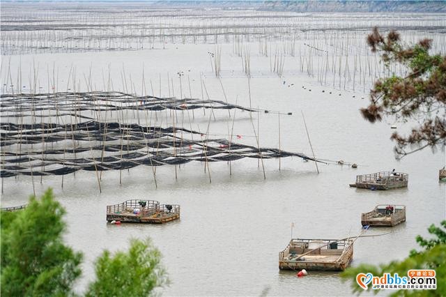 福建这个小县城，拥有中国最美海岸线，秋天是摄影爱好者的天堂-2.jpg