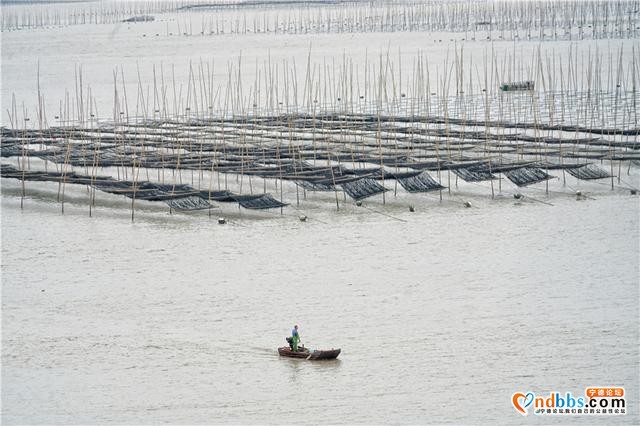 福建这个小县城，拥有中国最美海岸线，秋天是摄影爱好者的天堂-8.jpg