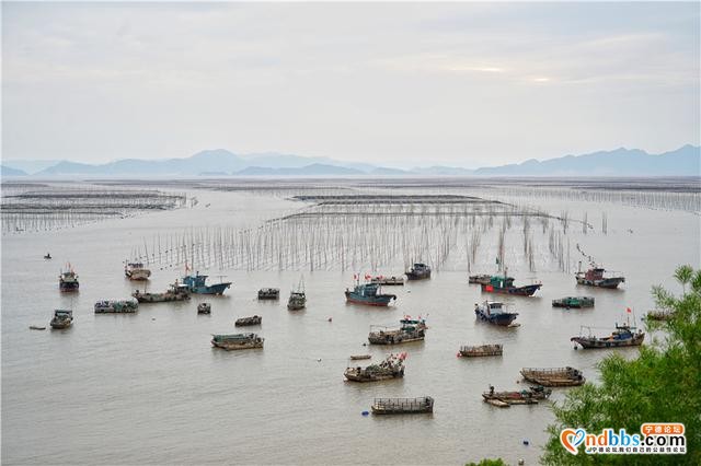 福建这个小县城，拥有中国最美海岸线，秋天是摄影爱好者的天堂-6.jpg