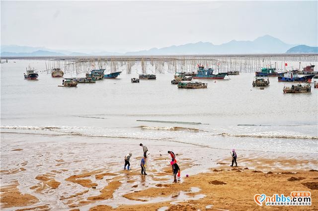 福建这个小县城，拥有中国最美海岸线，秋天是摄影爱好者的天堂-10.jpg