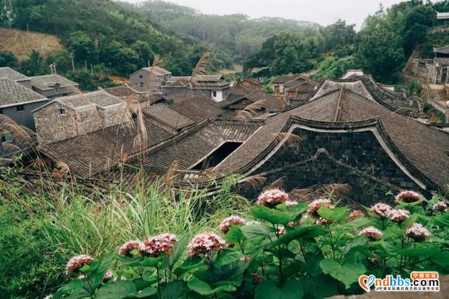 看山海，玩古村，逛畲乡，已经被宁德的这片土地迷倒了-41.jpg