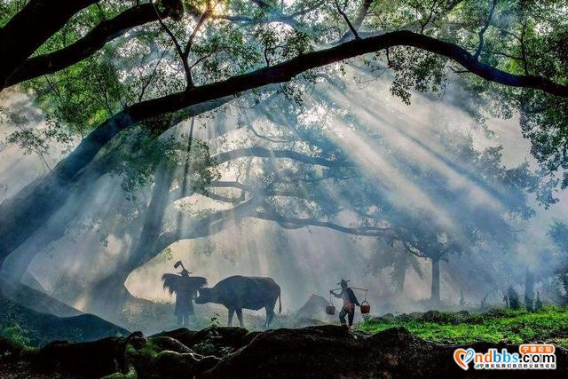 摄影师的圣地，走进好山好水的宁德，感受如诗如画的美景-6.jpg