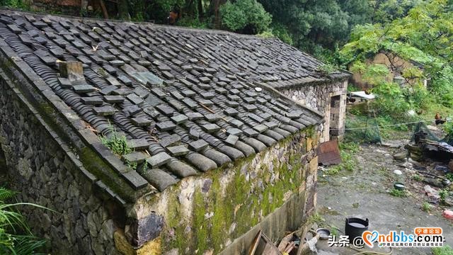 忽闻海上有仙山，海上天湖，万亩草原——福鼎嵛山岛-18.jpg