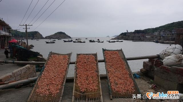 忽闻海上有仙山，海上天湖，万亩草原——福鼎嵛山岛-21.jpg