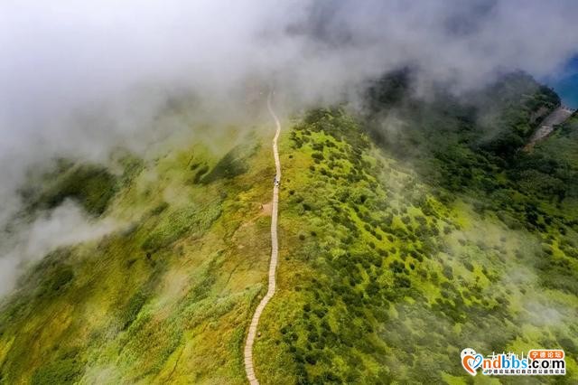 宁德丨听海、捕鱼、逐浪、驰聘、草场……去岛上过一次放浪形骸的生活-6.jpg