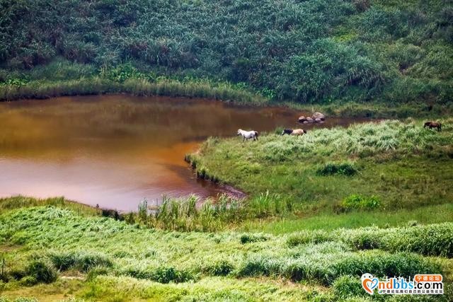 宁德丨听海、捕鱼、逐浪、驰聘、草场……去岛上过一次放浪形骸的生活-7.jpg