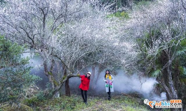 建宁 | 福源建宁版旅行日历来了！陪你走过四季更迭、万物枯荣……-14.jpg