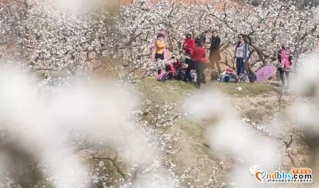 建宁 | 福源建宁版旅行日历来了！陪你走过四季更迭、万物枯荣……-26.jpg