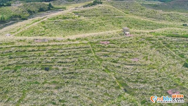 建宁 | 福源建宁版旅行日历来了！陪你走过四季更迭、万物枯荣……-24.jpg