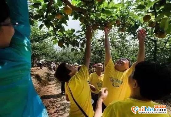 建宁 | 福源建宁版旅行日历来了！陪你走过四季更迭、万物枯荣……-45.jpg