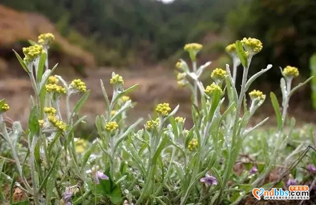 下雨宅在家，无处可去？跟着我们吃遍全宁德...-10.jpg