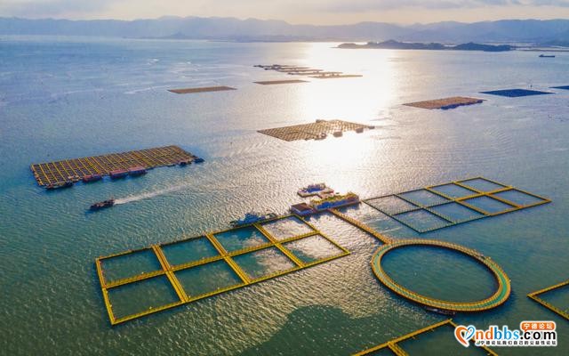 3万人次客流量！宁德市内最火的“海上田园”打卡点，你去了吗？-4.jpg