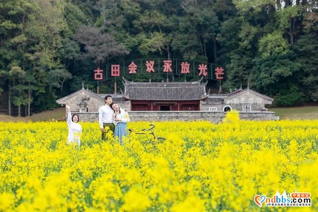 宁德人就今天！带上你的“李焕英”打卡千亩油菜花海-40.jpg