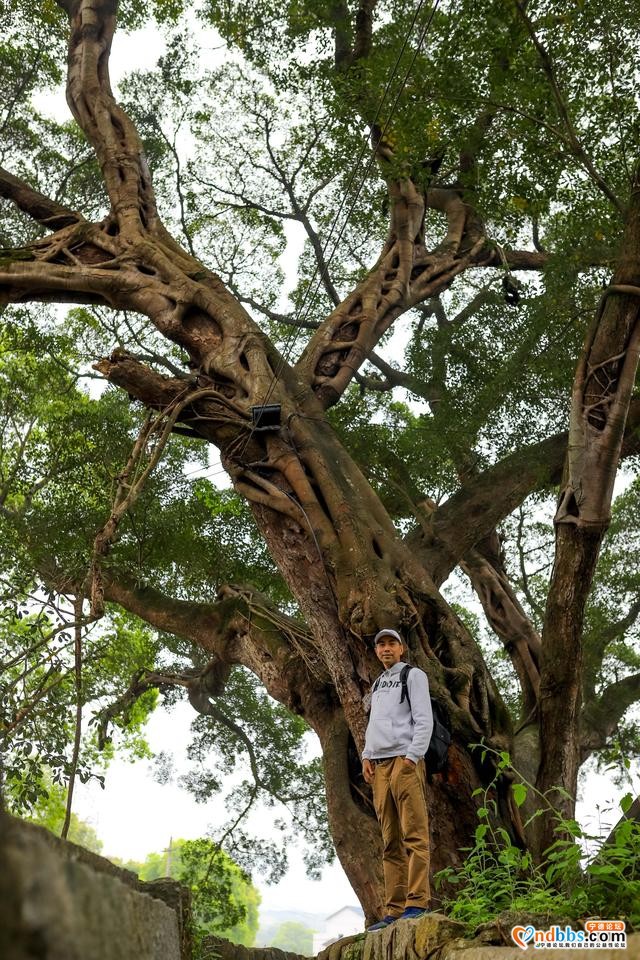 福建这条古村落，春天美成仙境，随手拍都是大片-17.jpg