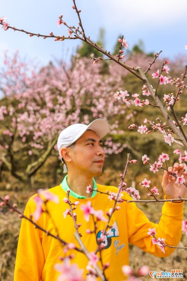 藏在福建深山的古村，三月桃花朵朵开，漫步巷道闻花香-1.jpg