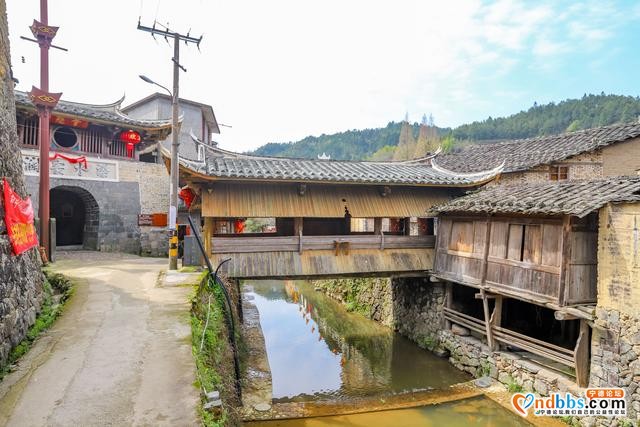 藏在福建深山的古村，三月桃花朵朵开，漫步巷道闻花香-18.jpg