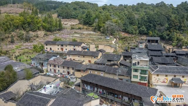 福建最美乡村游，打卡原生态畲族村，春日桃花别样红-18.jpg