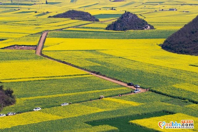 春季旅行去哪好？国内这25个地方，最适合3-5月出发-2.jpg