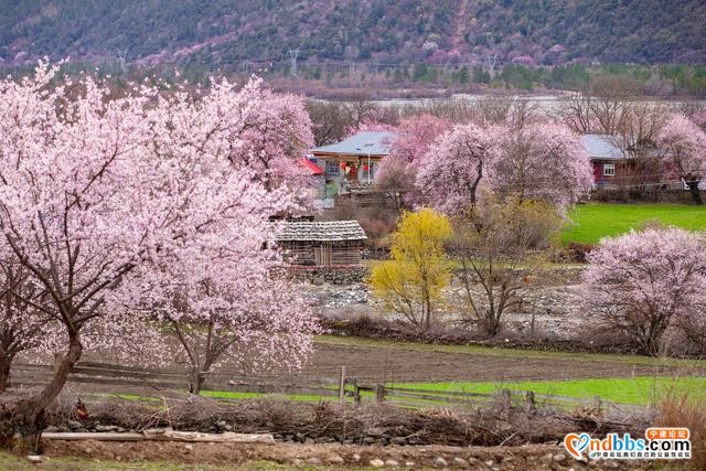 春季旅行去哪好？国内这25个地方，最适合3-5月出发-8.jpg