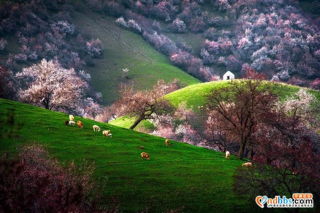 春季旅行去哪好？国内这25个地方，最适合3-5月出发-17.jpg