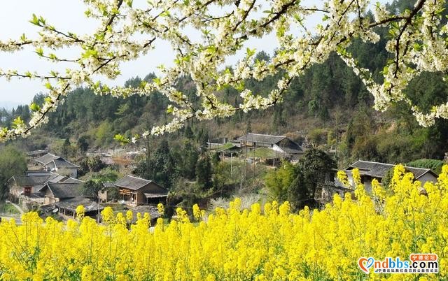 春季旅行去哪好？国内这25个地方，最适合3-5月出发-16.jpg