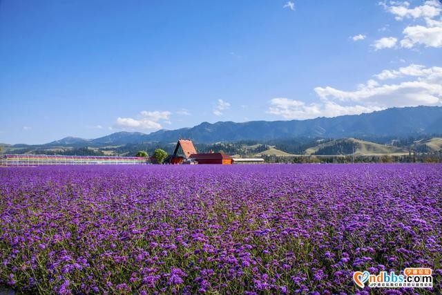 春季旅行去哪好？国内这25个地方，最适合3-5月出发-18.jpg