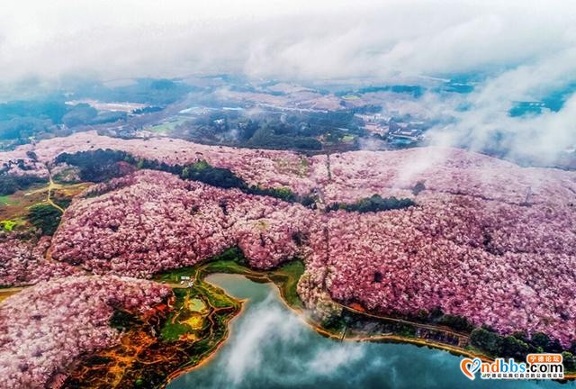 春季旅行去哪好？国内这25个地方，最适合3-5月出发-32.jpg