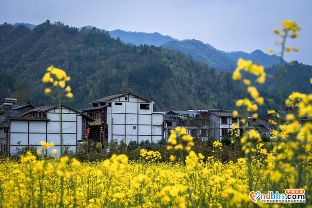 春季旅行去哪好？国内这25个地方，最适合3-5月出发-34.jpg