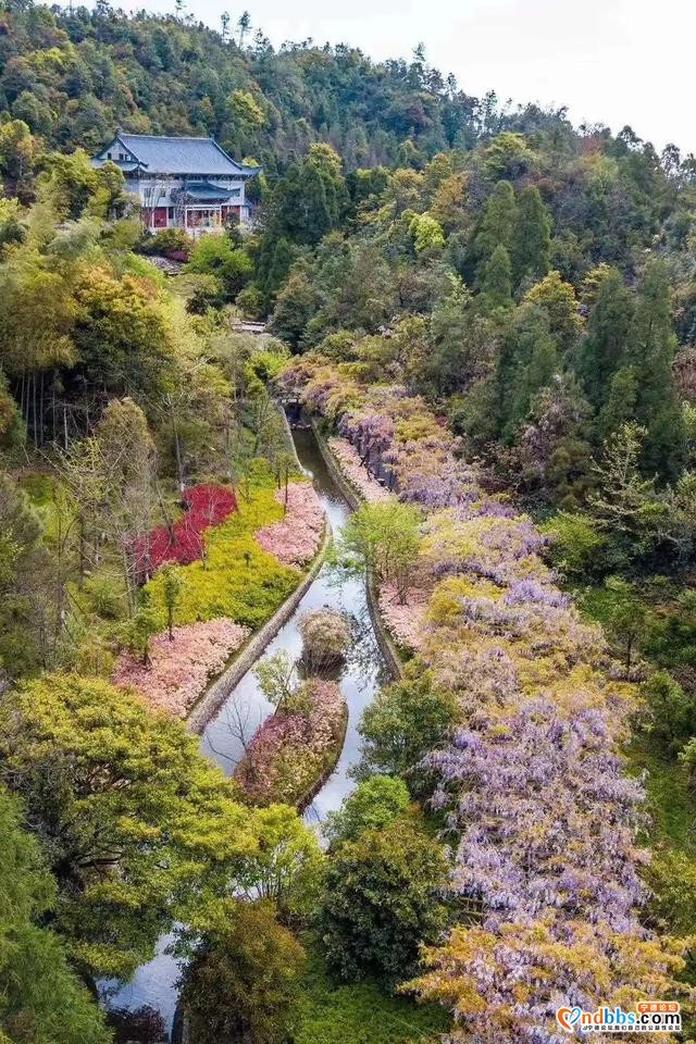 以花的名义去这座山赴一场“烂漫”之约-10.jpg