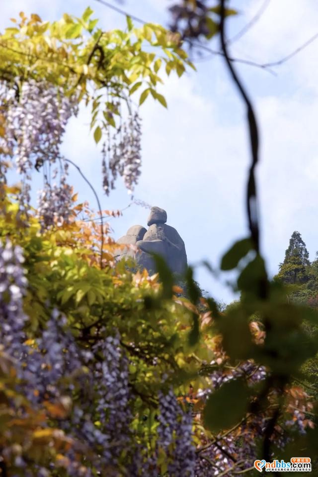 以花的名义去这座山赴一场“烂漫”之约-11.jpg