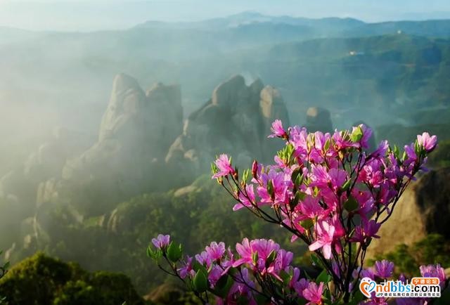 以花的名义去这座山赴一场“烂漫”之约-15.jpg