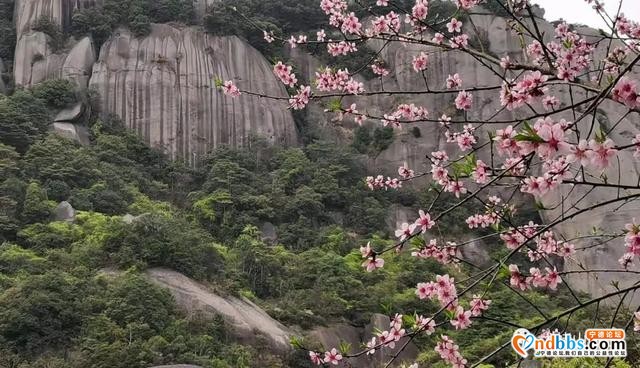 以花的名义去这座山赴一场“烂漫”之约-25.jpg