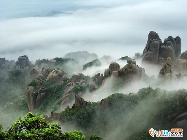 宁德丨赏樱花何必去远方，这座山就能满足你“雾里看花”的诗意之美-4.jpg