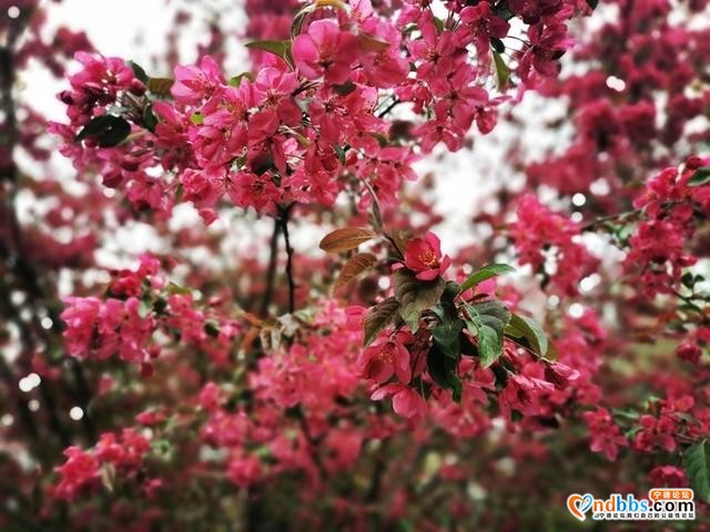 新时报·早闻 | 今日济南有雨，沙尘天气减弱；德云文化广场开工-4.jpg