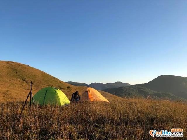 宁德“野”到不行的露营胜地烧烤、赏花、看星辰让你住进风景里-23.jpg