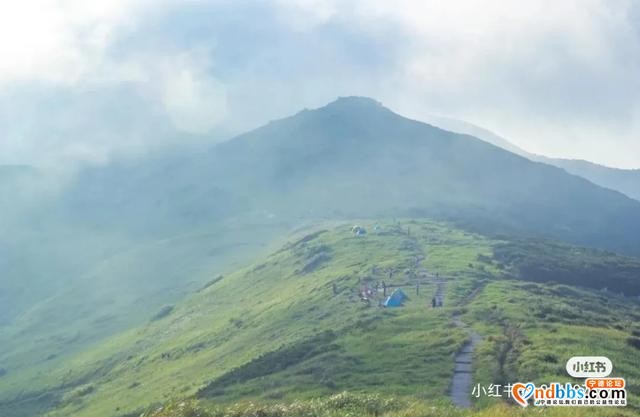 宁德“野”到不行的露营胜地烧烤、赏花、看星辰让你住进风景里-33.jpg