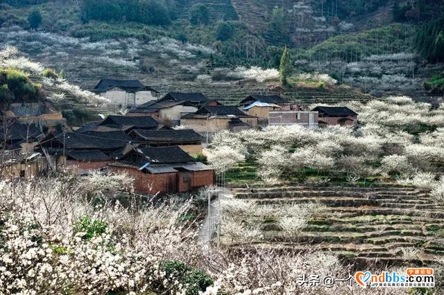 福建这座古早老城，为了吃也值得你来3趟-16.jpg