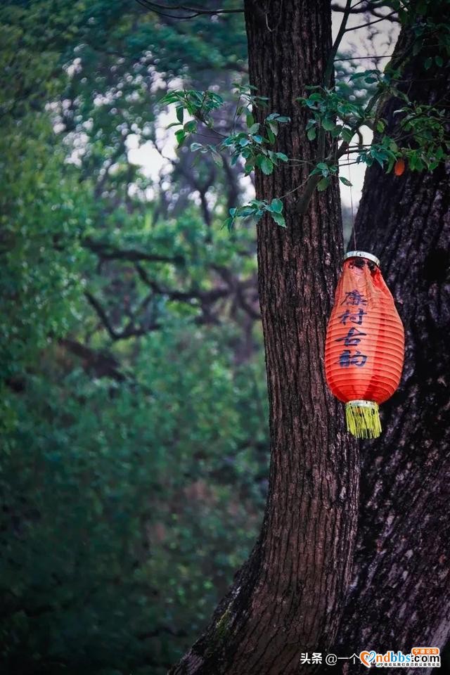 福建这座古早老城，为了吃也值得你来3趟-63.jpg