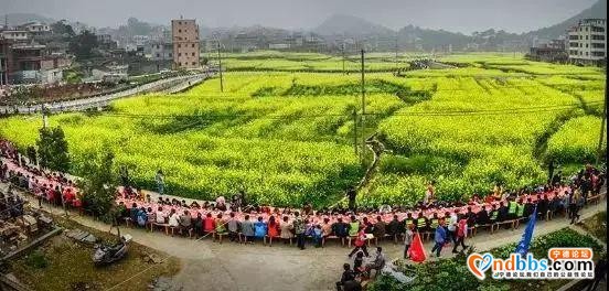 来福建踏春，这几个好去处可以安排上了-15.jpg